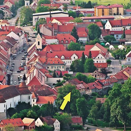 Apartment Gasa Brežice Εξωτερικό φωτογραφία