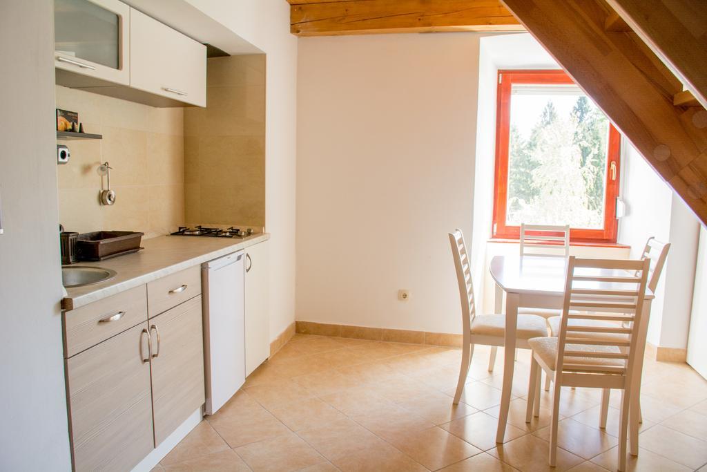 Apartment Gasa Brežice Εξωτερικό φωτογραφία